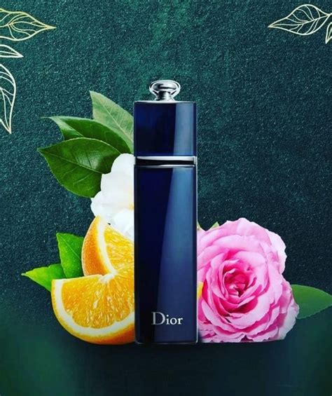 dior addict edp 100ml|More.